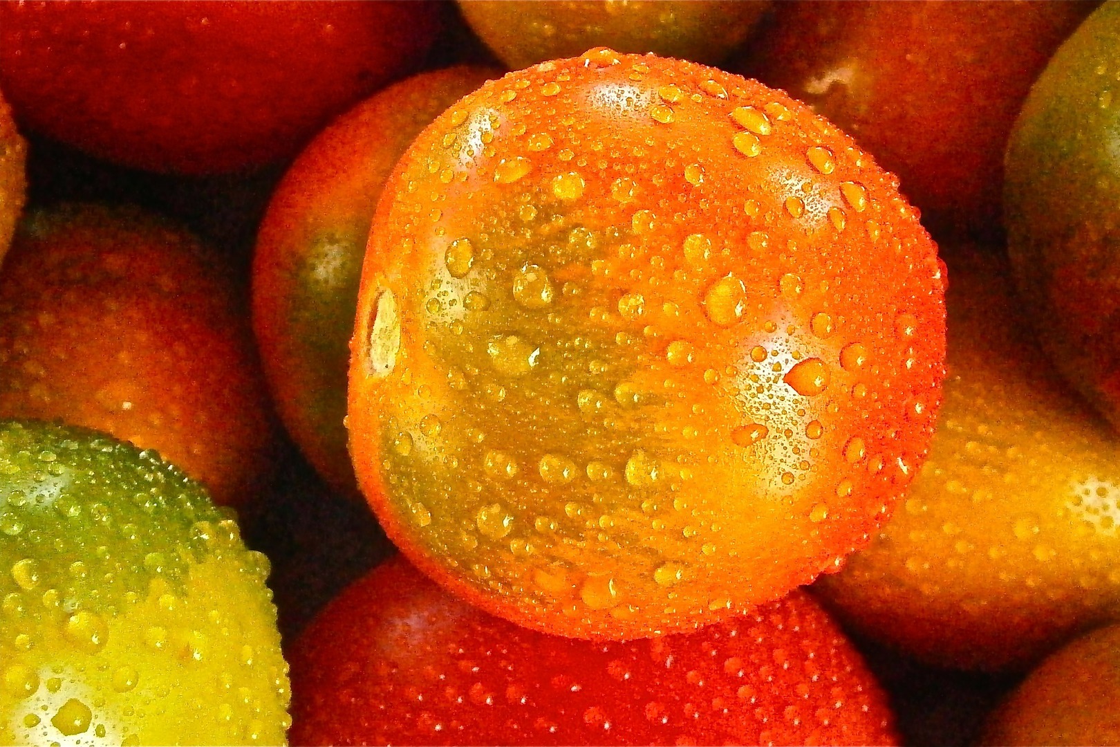 dot_blog_header_tomaten