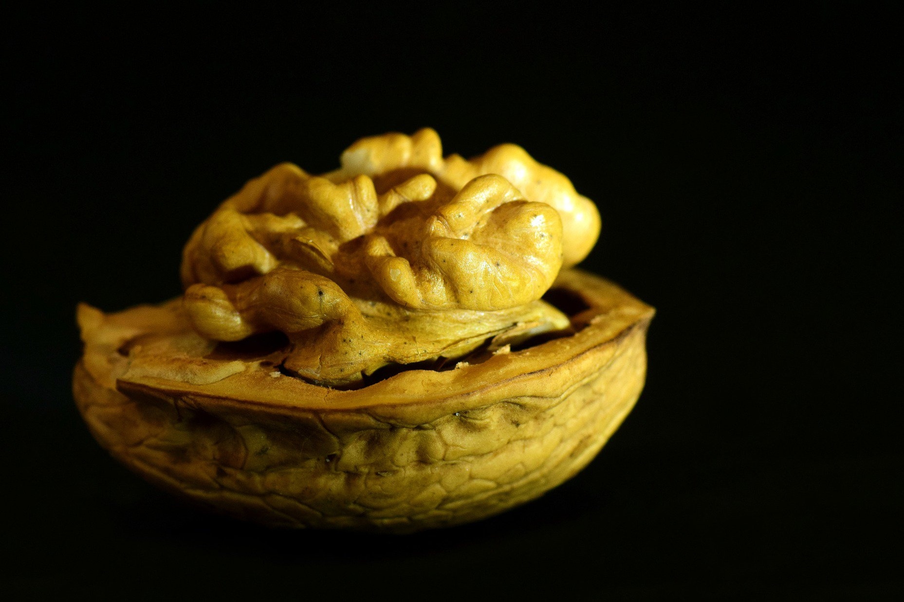 dotag_Blog_Header_Walnut.jpg