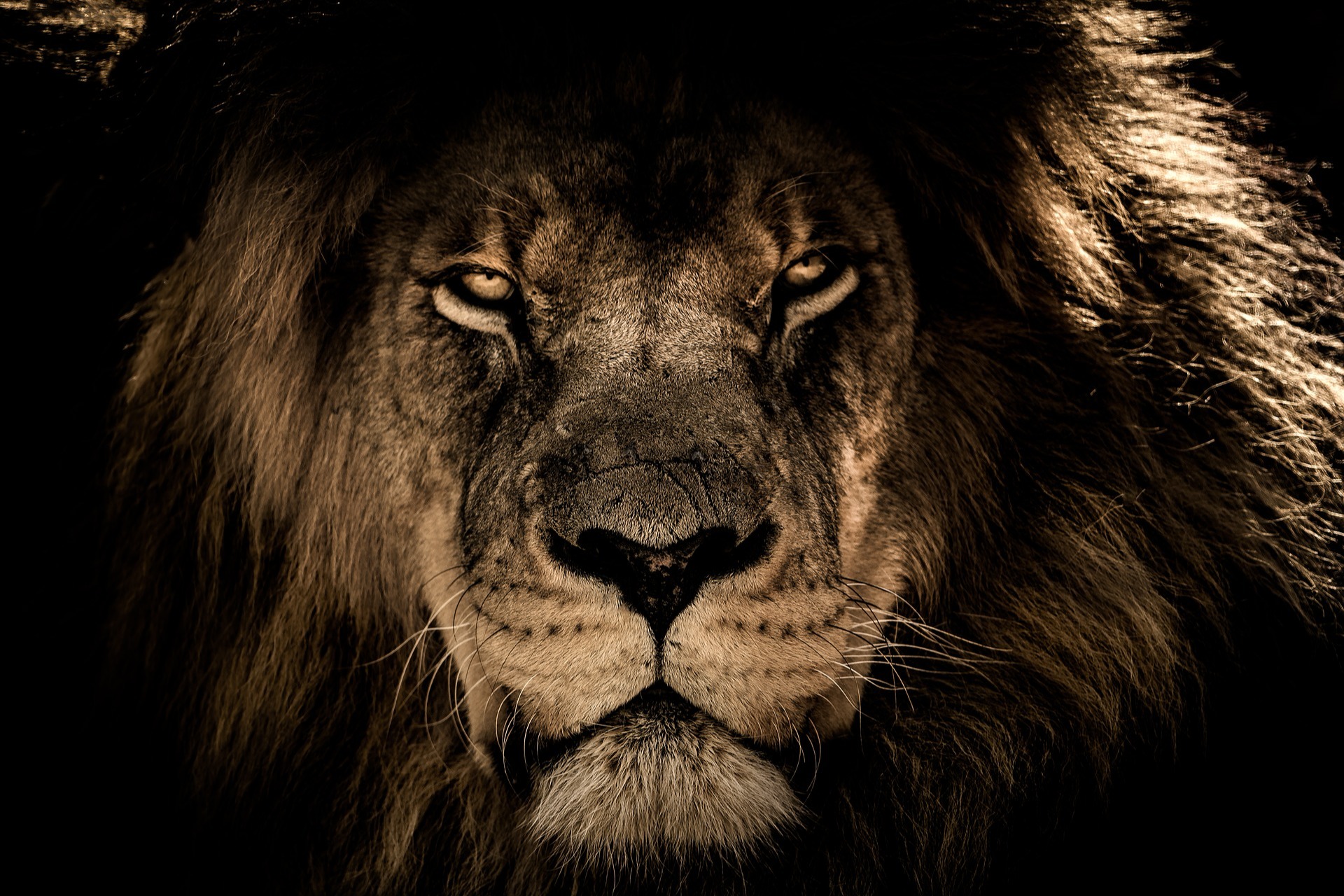 dotag_blog_header_manager_in_der_krise_reinventing_leadership-2