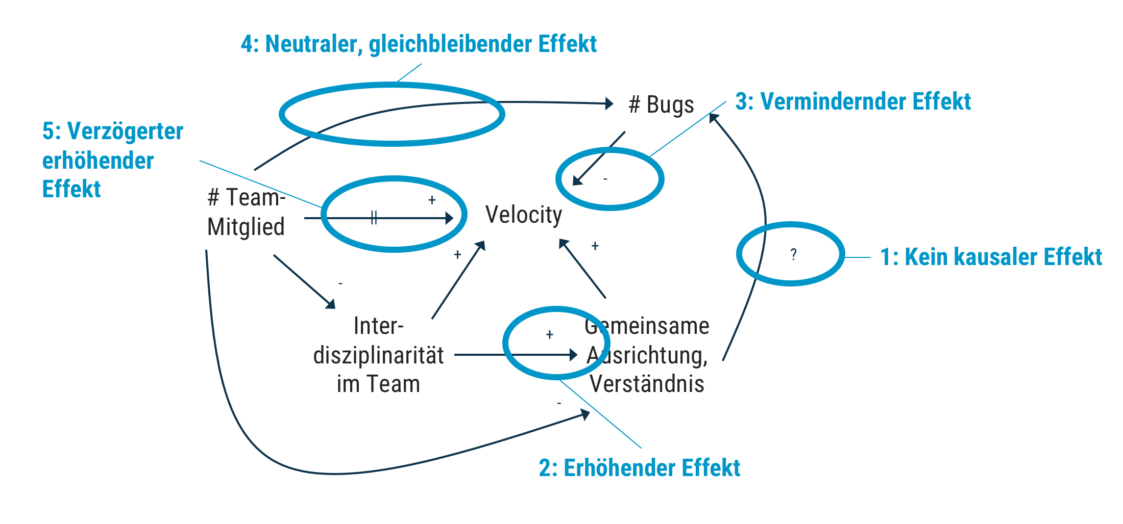 dotag_Blog_Inhalt_Causal_Loop_Diagramm_Notation