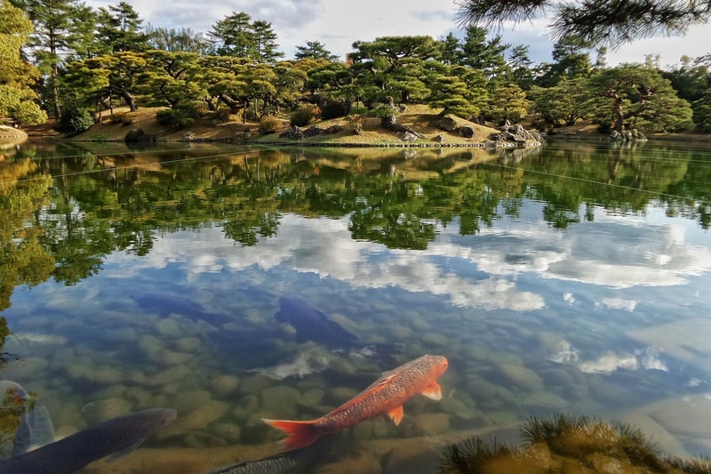 dotag_Blog_Inhalt_japan