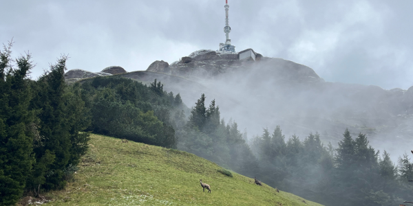 Blog Listing wir und ich