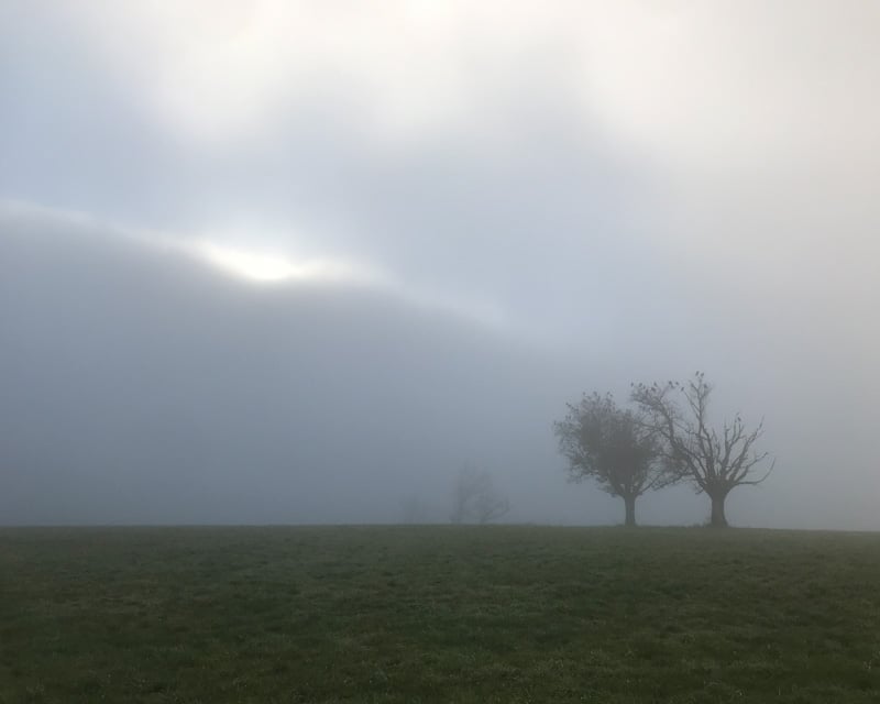 Blog_Inhalt_API1