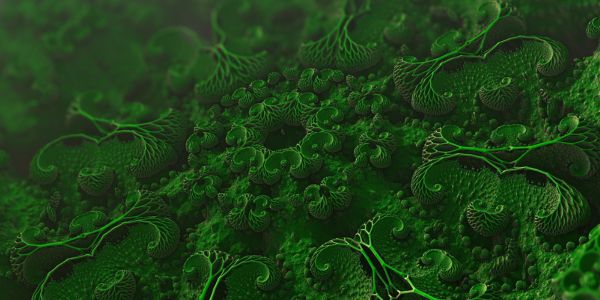 blog-5er-potenz-listing-v1