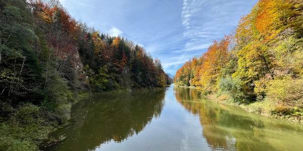 Fluss in dem sich der Herbstwald spiegelt